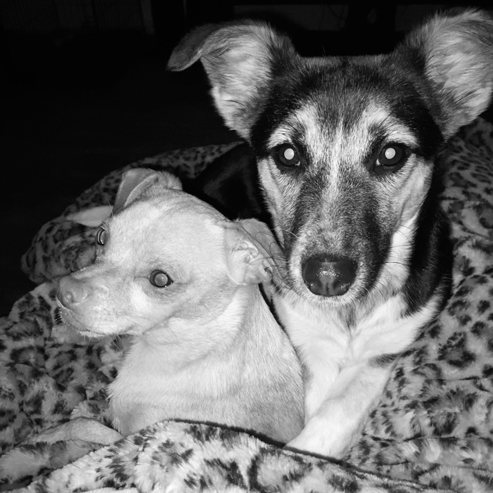 Meet your Posher, Megan